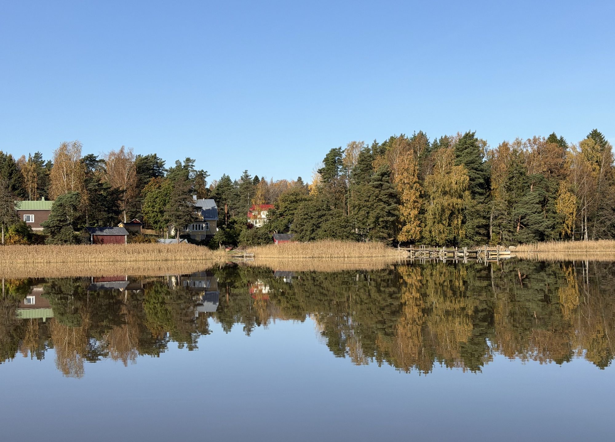 Tolkis i höstljus, husen och skogen speglas i fjärden